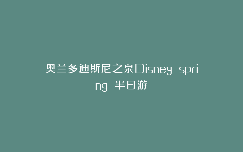 奥兰多迪斯尼之泉Disney spring 半日游