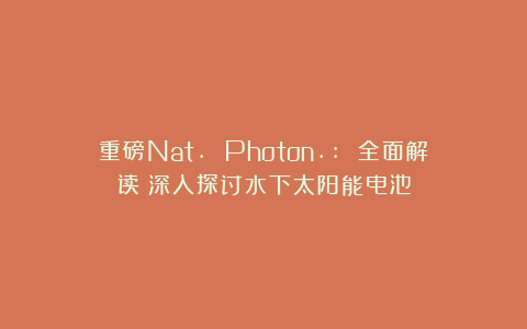 重磅Nat. Photon.: 全面解读!深入探讨水下太阳能电池