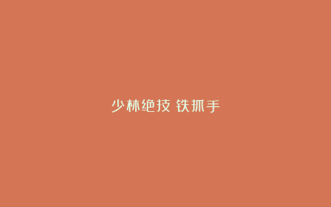 少林绝技：铁抓手