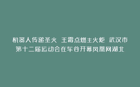 机器人传递圣火 王霜点燃主火炬 武汉市第十二届运动会在车谷开幕凤凰网湖北