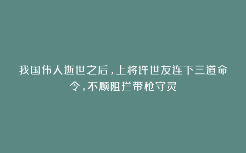 我国伟人逝世之后，上将许世友连下三道命令，不顾阻拦带枪守灵
