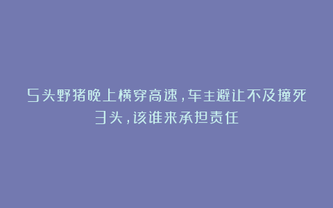 5头野猪晚上横穿高速，车主避让不及撞死3头，该谁来承担责任？