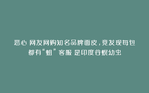 恶心！网友网购知名品牌面皮，竟发现每包都有“蛆”？客服：是印度谷螟幼虫