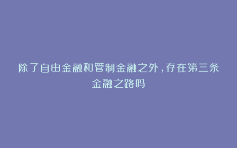 除了自由金融和管制金融之外,存在第三条金融之路吗?