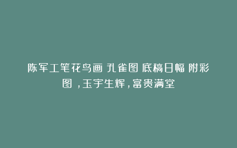 陈军工笔花鸟画《孔雀图》底稿8幅(附彩图),玉宇生辉,富贵满堂