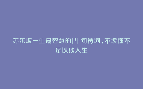 苏东坡一生最智慧的14句诗词，不读懂不足以谈人生
