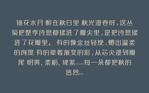 镜花水月:醉在秋日里!秋光漫卷时,这丛菊把整季诗意都揉进了瓣尖里,是把诗意揉进了花瓣里。 有的像金丝轻挽,蜷出温柔的弧度;有的晕着渐变的彩,从芯尖漫到瓣尾;明黄、柔粉、绛紫……每一朵都把秋的热烈…