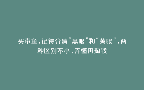 买带鱼，记得分清“黑眼”和“黄眼”，两种区别不小，弄懂再掏钱