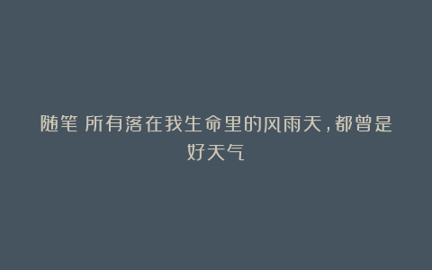 随笔:所有落在我生命里的风雨天,都曾是好天气