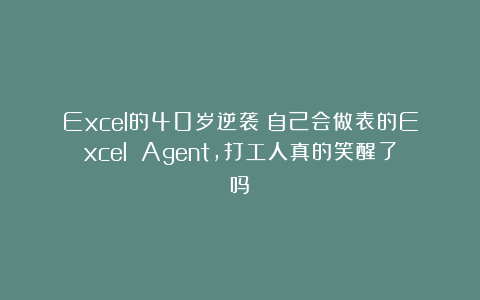 Excel的40岁逆袭：自己会做表的Excel Agent，打工人真的笑醒了吗？