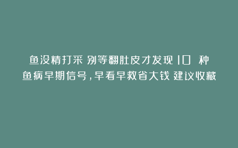 鱼没精打采?别等翻肚皮才发现!10 种鱼病早期信号,早看早救省大钱(建议收藏)