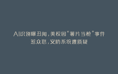 AI识别曝丑闻，美校园“薯片当枪”事件惹众怒，安防系统遭质疑