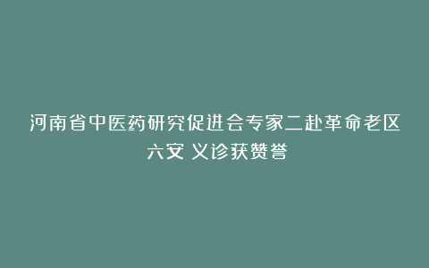 河南省中医药研究促进会专家二赴革命老区(六安)义诊获赞誉