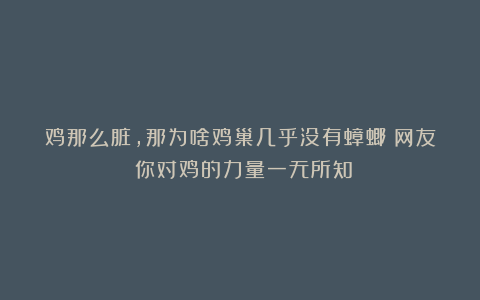 鸡那么脏，那为啥鸡巢几乎没有蟑螂？网友：你对鸡的力量一无所知