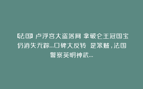 【法国】卢浮宫大盗落网！拿破仑王冠国宝仍消失无踪…口碑大反转！賊是笨贼，法国警察英明神武…