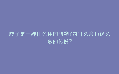麂子是一种什么样的动物?为什么会有这么多的传说?