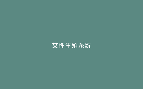 女性生殖系统