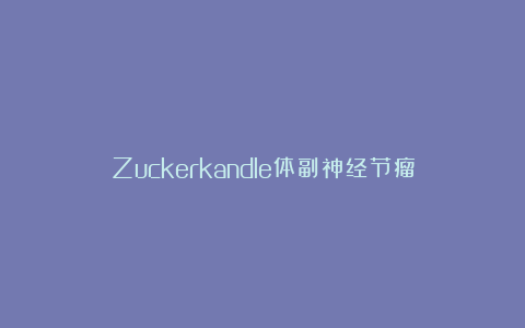 Zuckerkandle体副神经节瘤