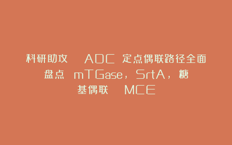科研助攻 ｜ ADC 定点偶联路径全面盘点∶ mTGase, SrtA, 糖基偶联 ｜ MCE