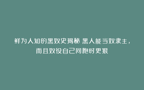 鲜为人知的黑奴史揭秘：黑人能当奴隶主，而且奴役自己同胞时更狠