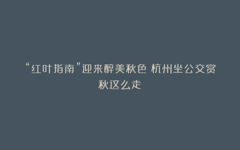 “红叶指南”迎来醉美秋色！杭州坐公交赏秋这么走