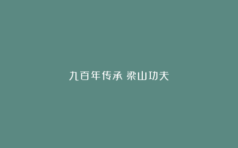 九百年传承：梁山功夫