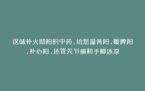 这味补火助阳的中药，给您温肾阳，暖脾阳，补心阳，还管关节痛和手脚冰凉！