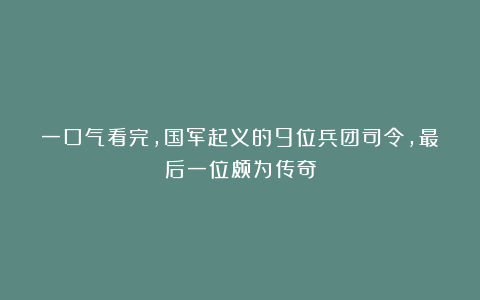 一口气看完，国军起义的9位兵团司令，最后一位颇为传奇