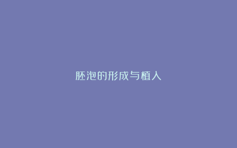胚泡的形成与植入