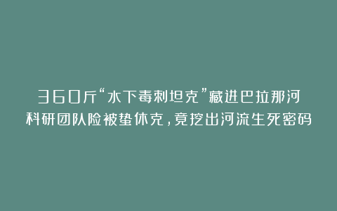 360斤“水下毒刺坦克”藏进巴拉那河！科研团队险被蛰休克，竟挖出河流生死密码