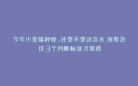 今年小麦播种晚，还要不要浇冻水？别着急！这3个判断标准才靠谱