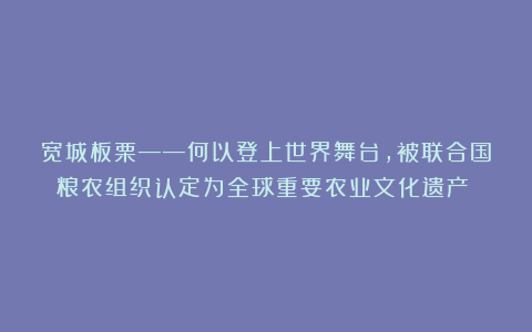 宽城板栗——何以登上世界舞台，被联合国粮农组织认定为全球重要农业文化遗产？！