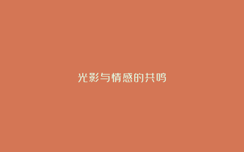 光影与情感的共鸣