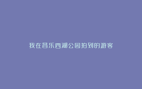 我在昌乐西湖公园拍到的游客