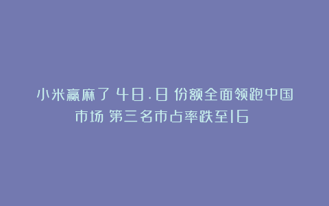 小米赢麻了！48.8%份额全面领跑中国市场！第三名市占率跌至16%！