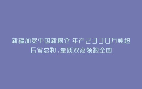 新疆加冕中国新粮仓！年产2330万吨超6省总和，量质双高领跑全国