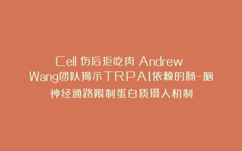 《Cell》伤后拒吃肉?Andrew Wang团队揭示TRPA1依赖的肠-脑神经通路限制蛋白质摄入机制
