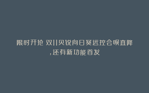 限时开抢！双11贝锐向日葵远控会员直降，还有新功能首发！