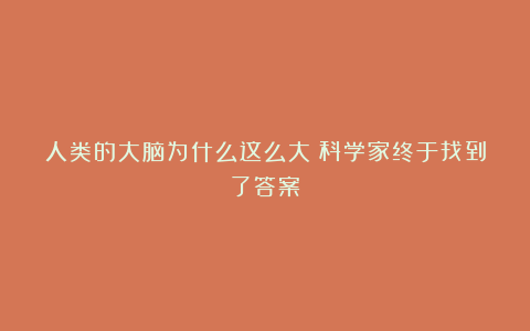 人类的大脑为什么这么大?科学家终于找到了答案