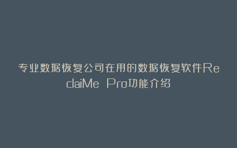 专业数据恢复公司在用的数据恢复软件ReclaiMe Pro功能介绍