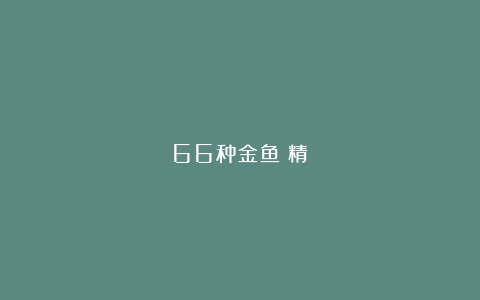 66种金鱼（精）