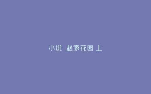 小说||赵家花园（上）