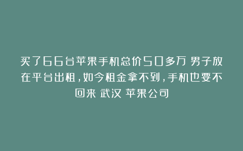 买了66台苹果手机总价50多万!男子放在平台出租,如今租金拿不到,手机也要不回来|武汉|苹果公司