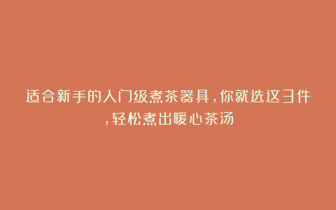 适合新手的入门级煮茶器具,你就选这3件,轻松煮出暖心茶汤