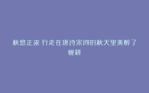 秋意正浓！行走在唐诗宋词的秋天里美醉了砚耕