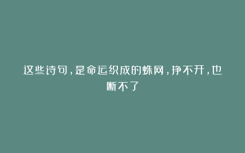 这些诗句,是命运织成的蛛网,挣不开,也断不了