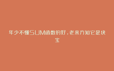年少不懂SUM函数的好，老来方知它是块宝