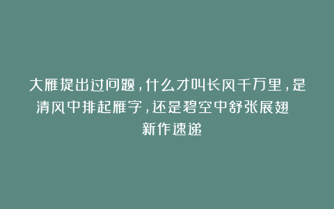 大雁提出过问题，什么才叫长风千万里，是清风中排起雁字，还是碧空中舒张展翅 | 新作速递
