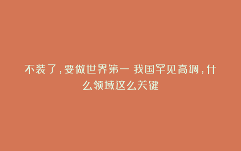 不装了，要做世界第一！我国罕见高调，什么领域这么关键