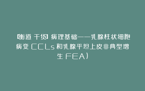 【衡道丨干货】病理基础——乳腺柱状细胞病变(CCLs)和乳腺平坦上皮非典型增生(FEA)